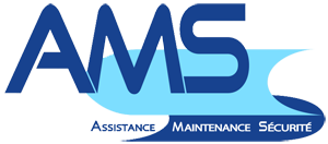 Logo AMS