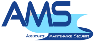 Logo AMS